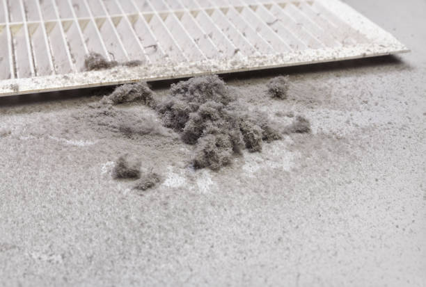 Best Affordable Duct Cleaning Services  in Sarcoxie, MO