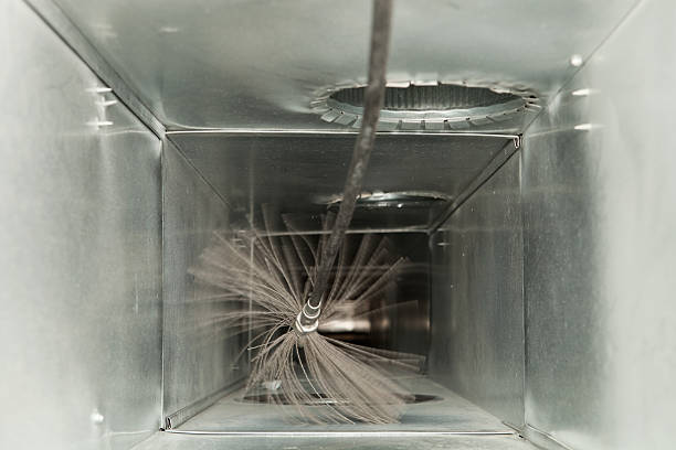 Best Air Duct Mold Removal  in Sarcoxie, MO